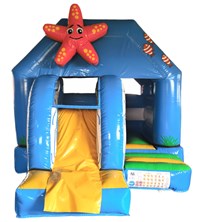11ft x 13ft 3D Starfish Front Slide Bouncy Castle