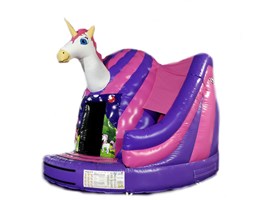 !! 17ft x 15ft Unicorn Twister Dome Slide Combo