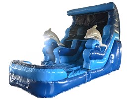 8ft Platform 3D Dolphin Slide with Detachable Water Pool